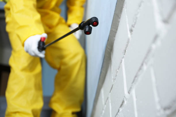 Best Pest Prevention Services  in Oelwein, IA